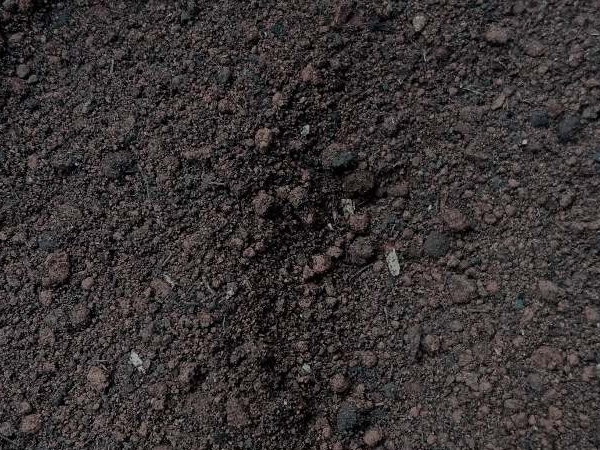 Terra Preta em Eldorado dos Carajás