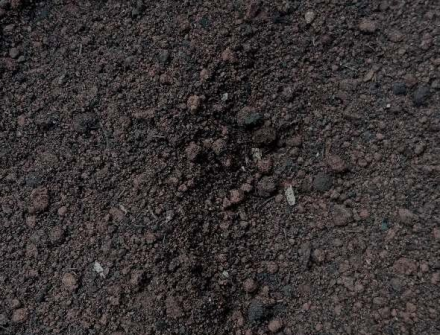 Terra Preta em Eldorado dos Carajás PA